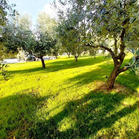 Hacienda Matea - Jacuzzi, Pool, Playground & Bbq In An Olive Grove Near Beaches, - Istria *
