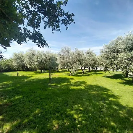 Hacienda Matea - Jacuzzi, Pool, Playground & Bbq In An Olive Grove Near Beaches, - Istria Villa